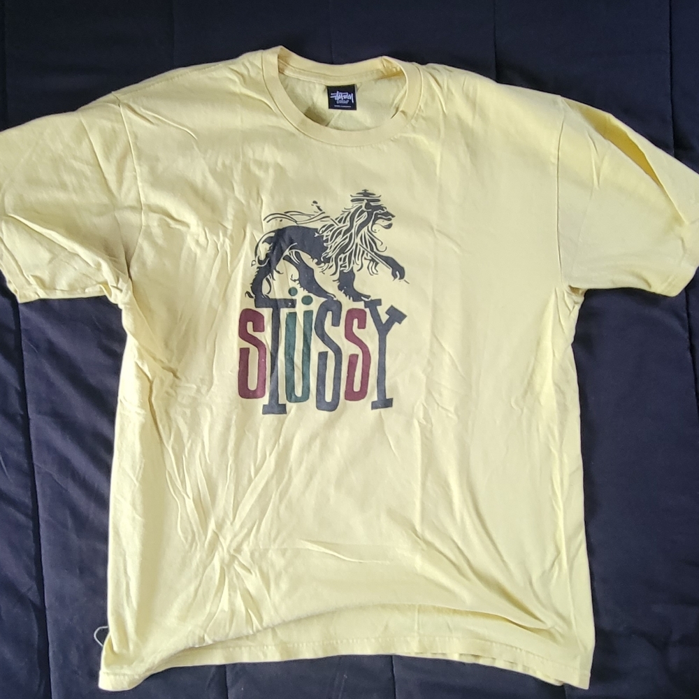 Stussy Skate Tee